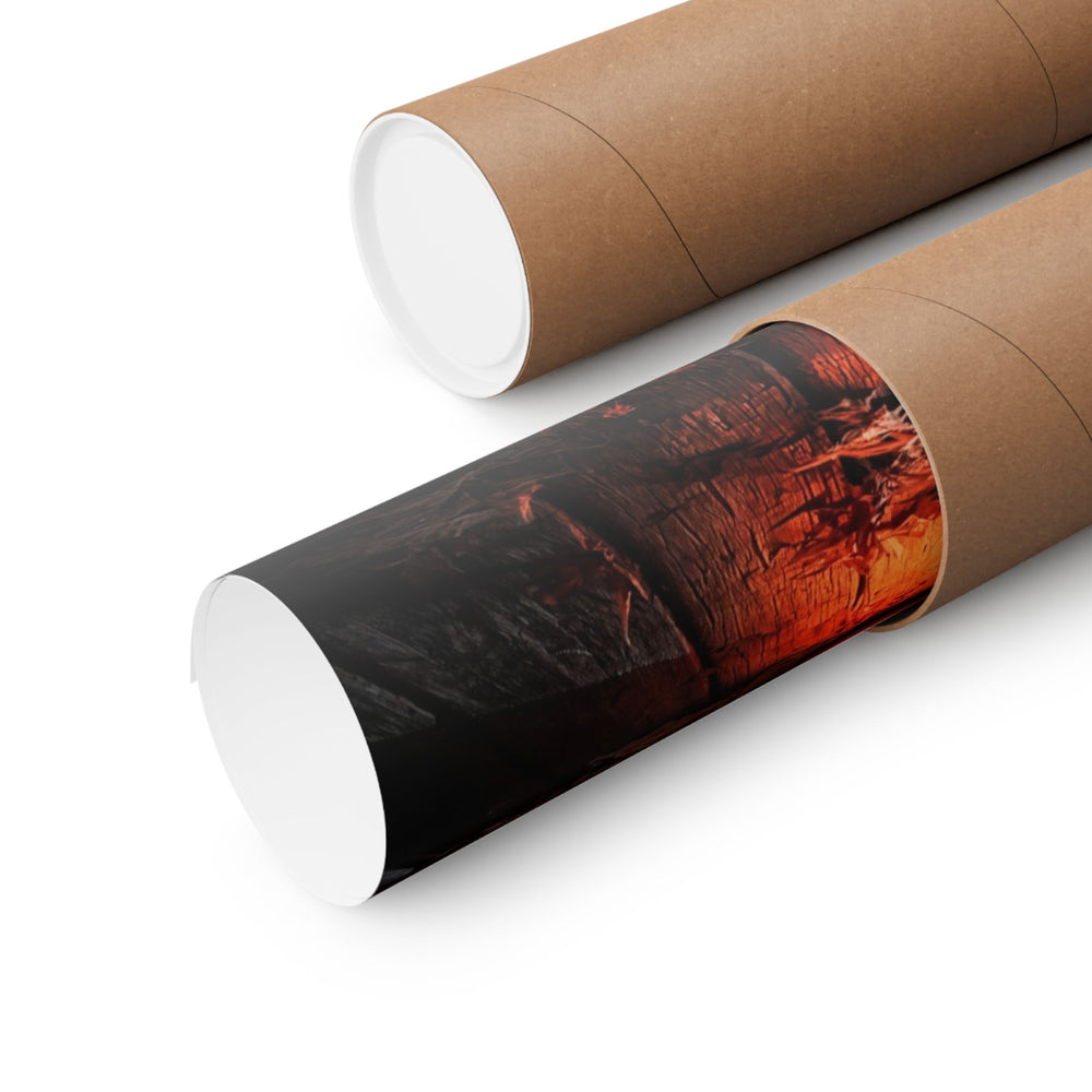 Orange Tree Porch Poster